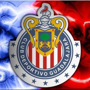 Meet your Posher, Fidel